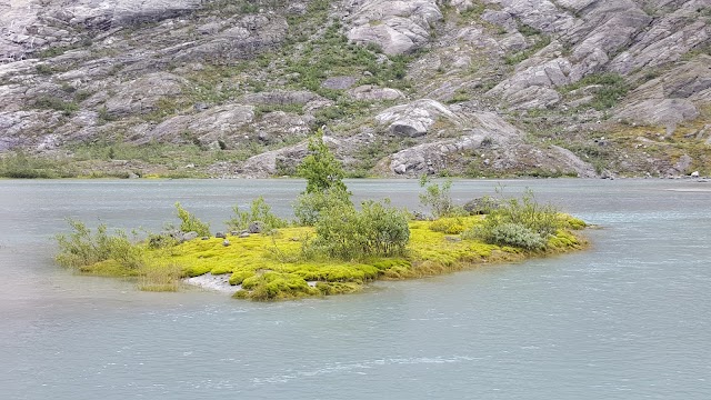 Nigardsbreen