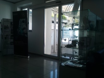 car-dealer
