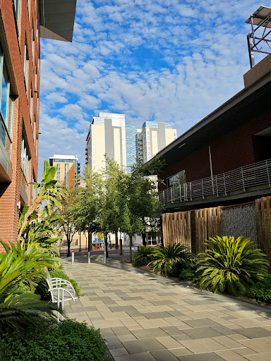 Arizona State University Foundation Gallery - United States