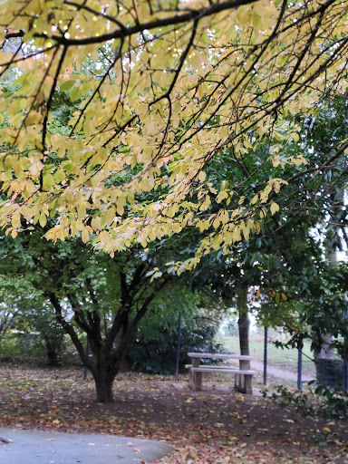 Aire Parc du Château - Thumbnail