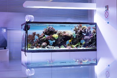 Photos of Aquarium Systems Technology AG