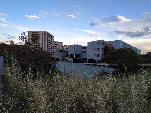 Liceo Linguistico e Istituto Tecnico Economico Statale MARCO POLO - Thumbnail