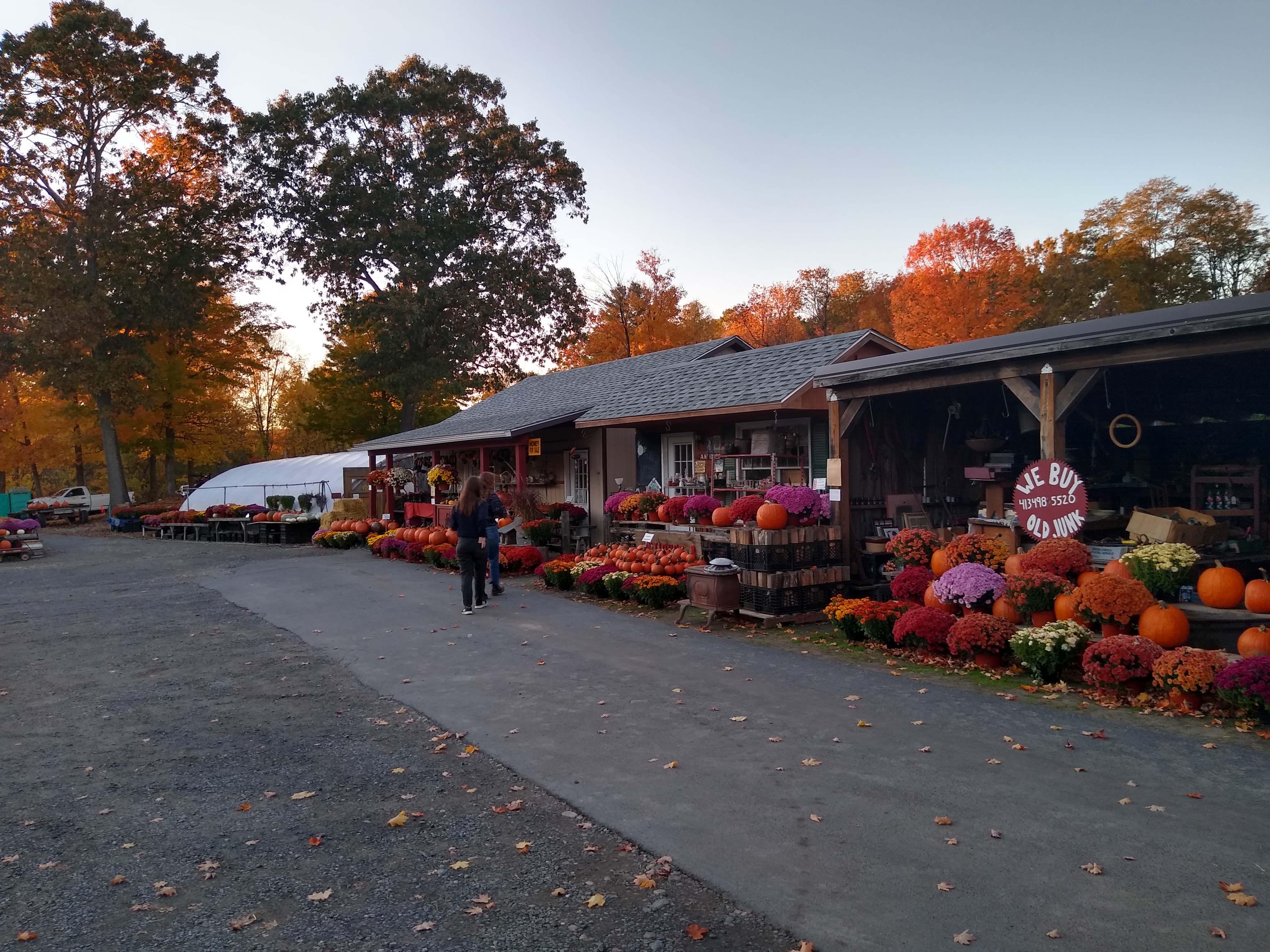 Rock Ridge Farm