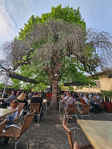Photo 12 - Restaurant Les Terrasses de Pérouges