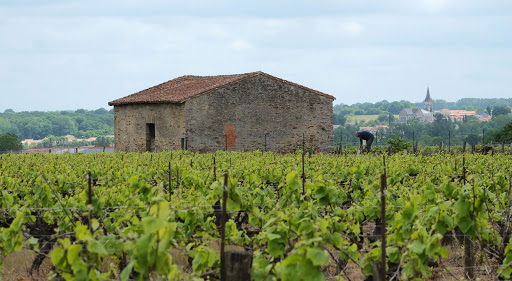 Photo de Résidence d’Orée