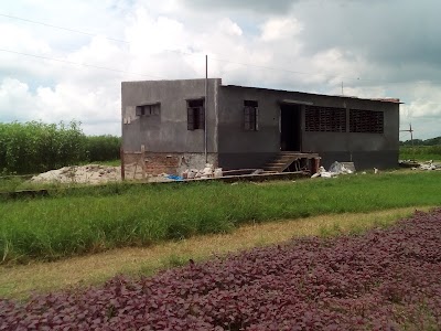 Photos of Chor Tolatoli Jame Masjid