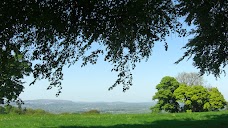 Cardiff Natural Burial Meadow cardiff