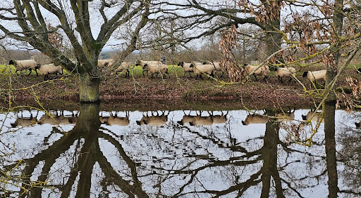 National Trust Car Park - Hanbury Hall