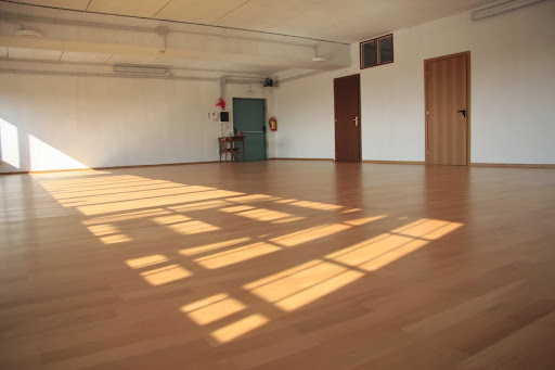 BIODANZA ROMA - Thumbnail
