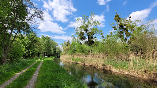 Lichtenauer Rheinniederung - Thumbnail