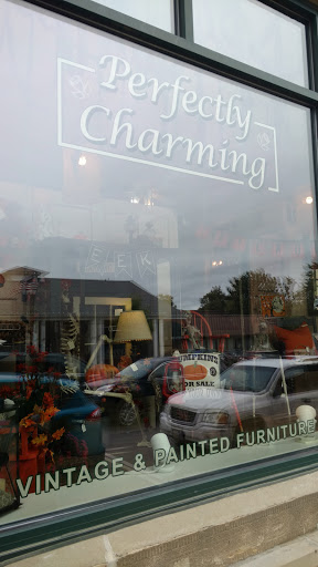 Perfectly Charming - Visual