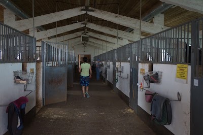 Photos of AO "Clubul de Hipism Sparta"