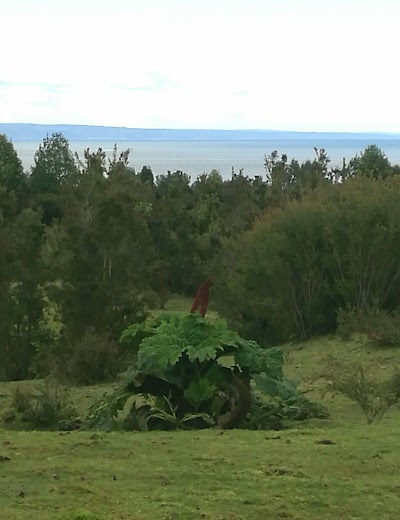 Photos of Hostal Campo Santy
