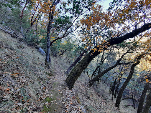 Mill Creek Park Ridge Trailhead - Thumbnail