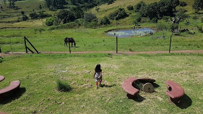 Photos of Assagay Coffee Farm
