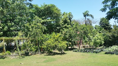 Photos of Food Security and Agriculture Department Surabaya