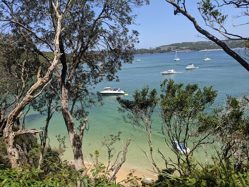 Manly To Spit Bridge Coastal Walk - Thumbnail