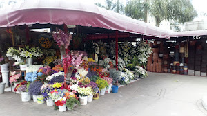 Plaza de Flores - Barranco 0