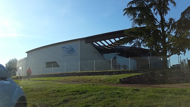 Piscine Toboggan