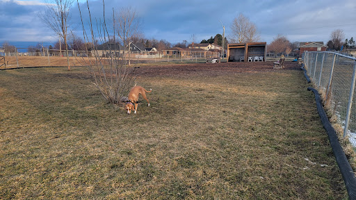 Goderich Dog Park