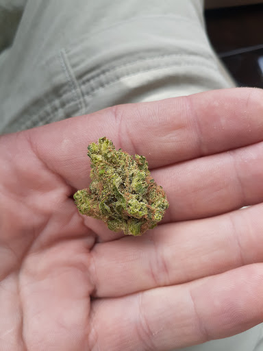 Nature's Care - Rolling Meadows - Thumbnail