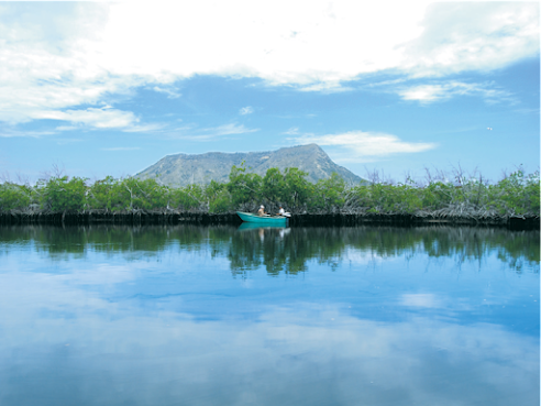 El Morro Eco Adventure Hotel by null