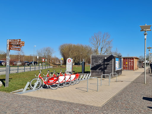 Königs Eis