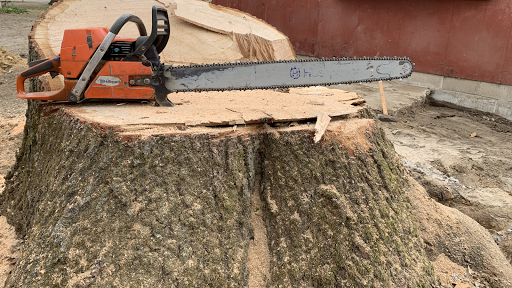 Stump King Stump Removal
