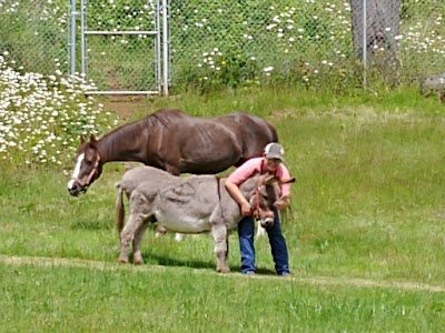 Warren Family Farm LLC