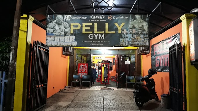 PELLY GYM BODY BUILDING & FITNESS EQUIPMENT, Author: Pelly Gym Cipes