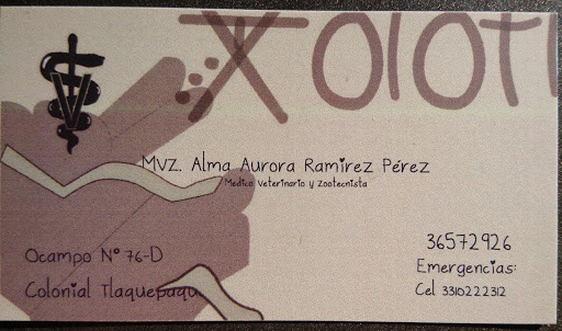 Veterinary happy dogs Xolotl - Thumbnail