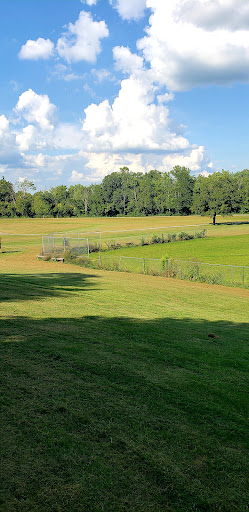 Felson Park - Visual