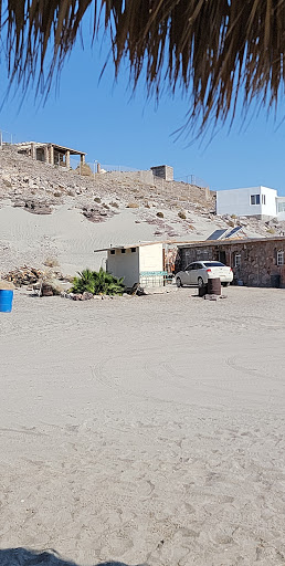 Campo Octavio