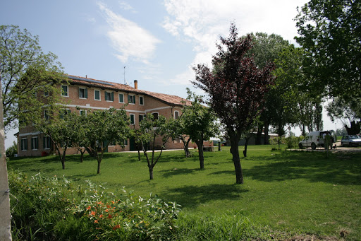 Antico Figher - Visual