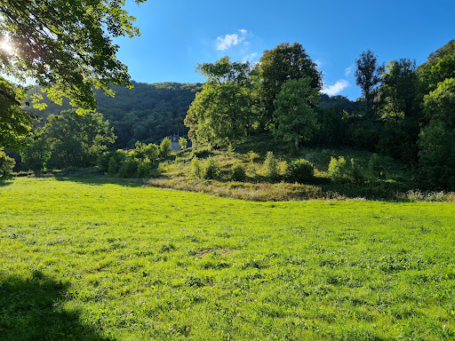 Photo 5 - La Grange Restaurant - Vic sur Cère