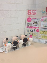 Pet Salon LOZAN