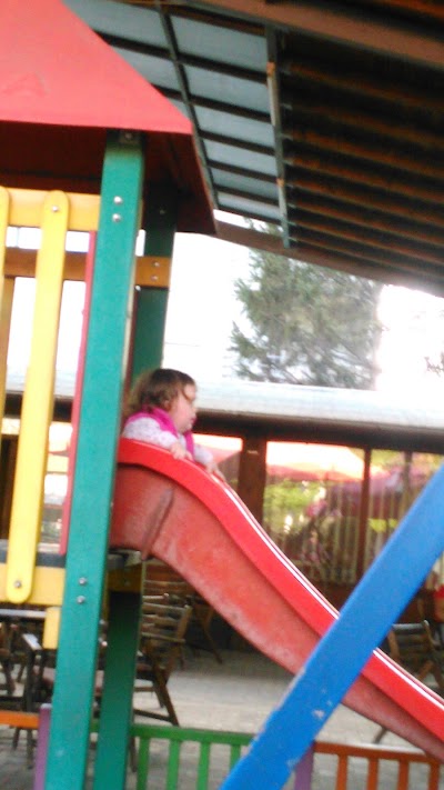 Photos of Amigos