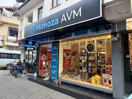 Mimozaavm Hediyelik Eşya, Parti Malzemeleri, Oyuncak, Takı-Bijuteri, Altın Gümüş Parlatma ve İthalat
