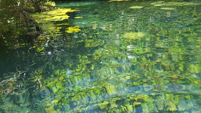 Photos of Cenote Jaguar