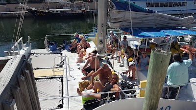 Photos of Reef Roamer Catamaran Sail and Snorkel Trips