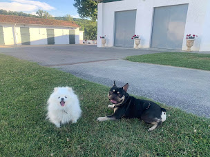 Photo n°17 de Domaine du cheval d'argent à Saiguède (Chambre d'hôtes)