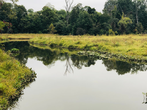 Neabsco Eagles Park - Thumbnail