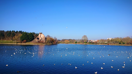 Lake Courcouronnes - Thumbnail
