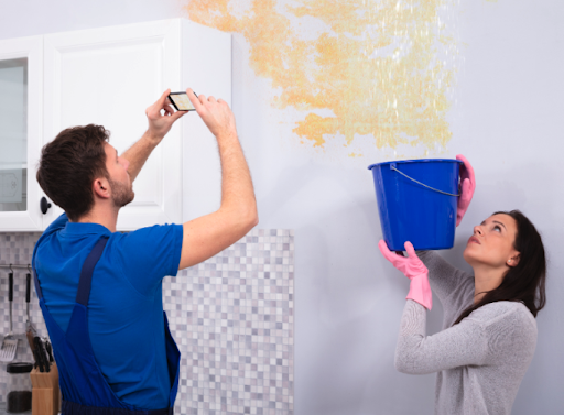 Dry County Restoration, LLC