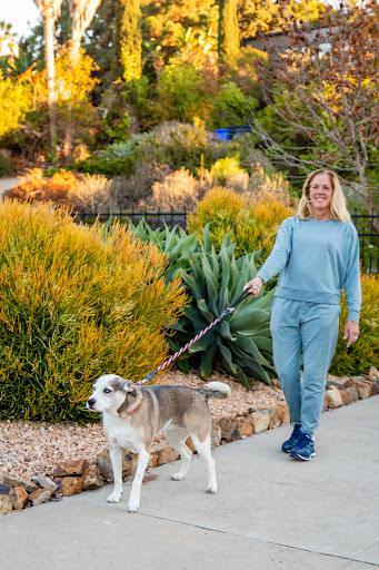 Pet Walker Plus - Thumbnail