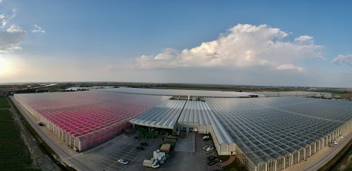 FRI-EL Greenhouse