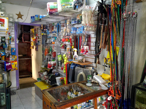 Servicios Veterinarios Padierna