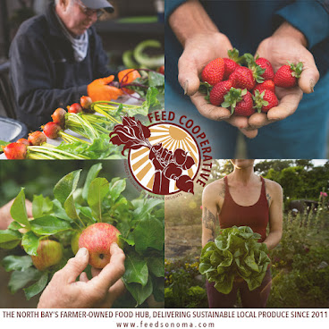 FEED Cooperative by null