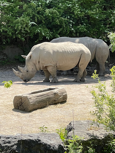 La Cabane (Zoo de Lille) - Thumbnail