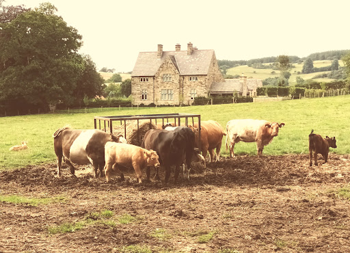 Brenk House Farm Caravan Park - Thumbnail